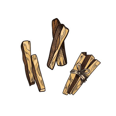 Premium Vector Palo Santo Hand Drawn Sticks Aromatherapy For