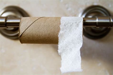 Toilet Paper Shortage? No Problem! 14 Emergency Alternatives - Wife's Choice