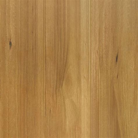 Spotted Gum Timber Look Flooring Back To Timber