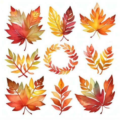 Watercolor Fall Leaves Clipart 29999483 Stock Photo at Vecteezy