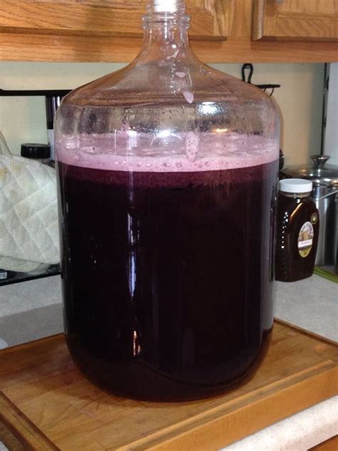 1 Gallon Blueberry Mead Recipe Find Vegetarian Recipes