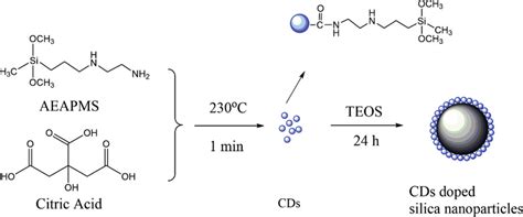 Schematic Diagram For The Preparation Of Cd Doped Silica Nanoparticles Download Scientific