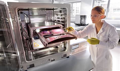 Real-time Quantitative Live-Cell Imaging and Analysis — from within