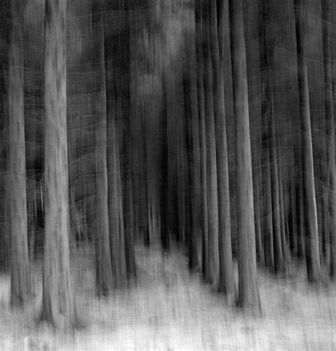 Blurred Forest - blackandwhite.ie