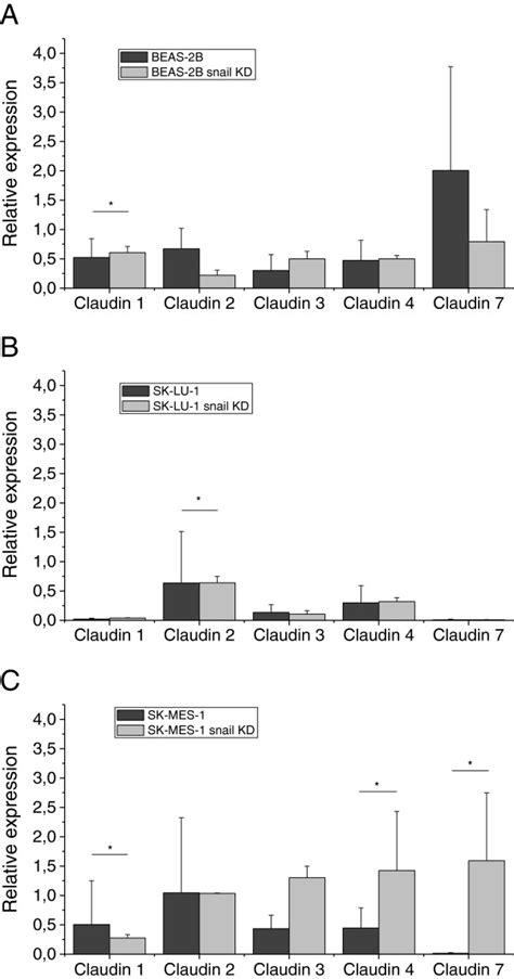 Claudin Mrna Expression 1 2 3 4 And 7 In Normal Cell Lines And Snail