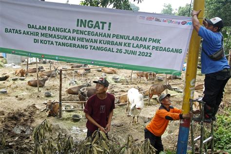 SOSIALISASI LARANGAN MASUK HEWAN KURBAN JELANG IDUL ADHA ANTARA Foto