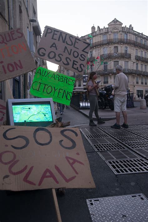 Greenpeace Et Le Sos Oulala Dans Le Centre Ville De Montpellier Samedi