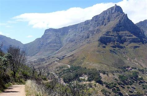 Table Mountain National Park: The Surreal Beauty Of SA