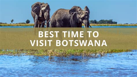 When Is The Best Time To Visit Botswana Plus Top Tips