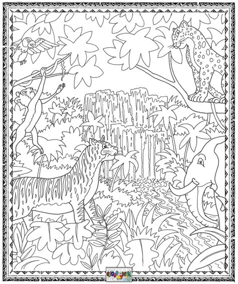 Epfo Website Rainforest Mindful Colouring