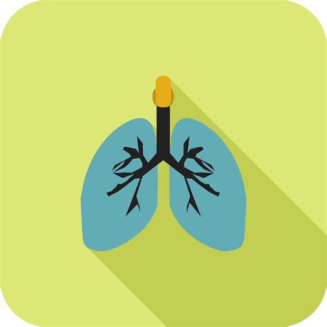 Lungs Flat Long Shadow Icon Vector Art At Vecteezy