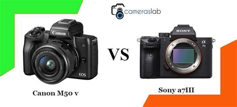 Sony a7RII vs a7III - Check Why Sony a7 III is Best!