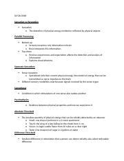 Understanding Sensation Perception And Visual Processing Course Hero