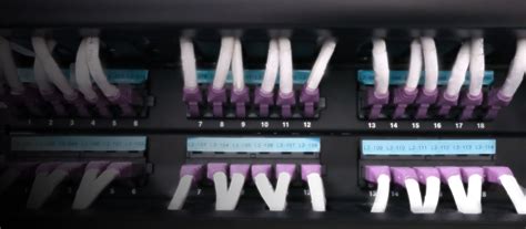 cbis nus biological sciences nus biological sciences