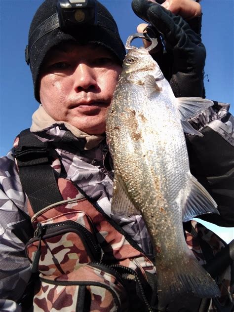 ベタ凪で朝から太陽カンカン照り 鹿児島のサラリーマン釣り師 がり吉の釣行記