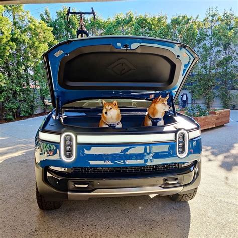 Rivian Dog Photos Rivian Forum Rivian R1t And R1s News Pricing