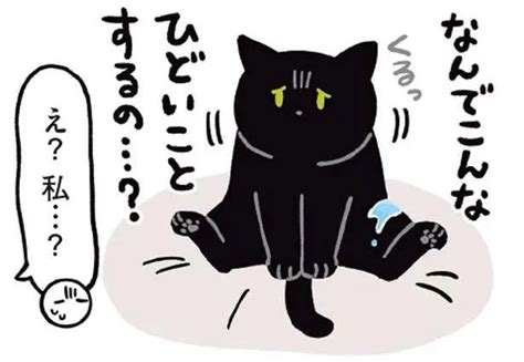 「なんでこんなことするの？」猫が悲しげな目で訴える理由とは／黒猫ろんと暮らしたら 3（13） レタスクラブ