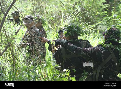 Scout Ranger Regiment Hi Res Stock Photography And Images Alamy