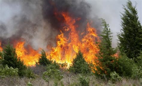 Incendi boschivi il Veneto dichiara lo stato di grave pericolosità