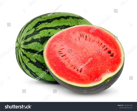 Whole Watermelon Fruit