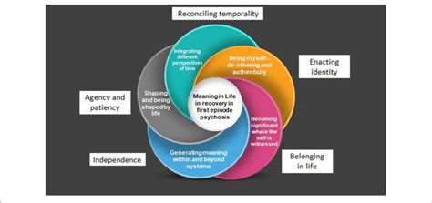 Overarching Thematic Structure Of Superordinate Themes And Their Download Scientific Diagram