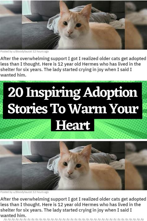 20 inspiring adoption stories to warm your heart – Artofit