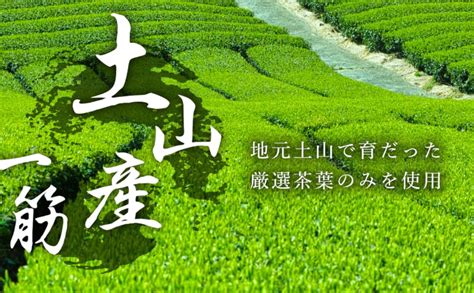 辰岡製茶 水出し 赤ちゃん番茶 ティーパック 10g×40パック 2袋セット 滋賀県産 【新品、本物、当店在庫だから安心】