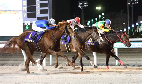 【地方競馬】アンモシエラが牡馬を撃破して重賞制覇 競馬ニュース Netkeiba