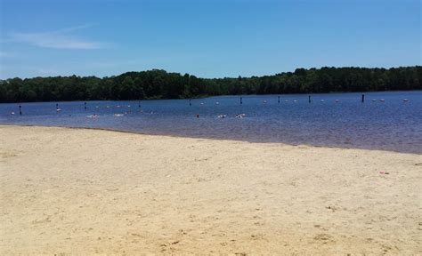 Wade In The Refreshing Waters On The Scenic Beach At Jimmie Davis State