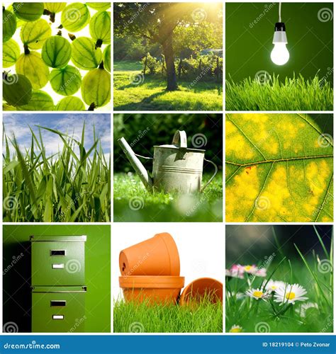 Green Collage Stock Images Image 18219104