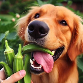 Can Dogs Eat Okra? - puppadogs.com