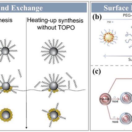 Synthesis Methods Of Metal Chalcogenide Quantum Dots A Ag2Te QDs