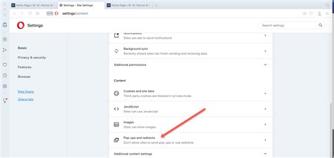 Enabling Pop Ups Within Internet Browsers W W Norton