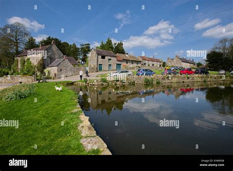 Tissington village pond hi-res stock photography and images - Alamy