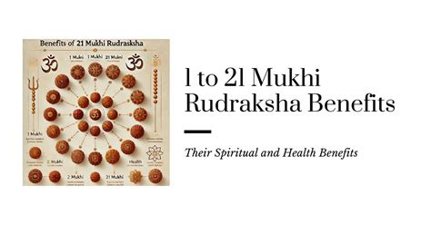 1 To 21 Mukhi Rudraksha Benefits Their Spiritual And Health Benefits