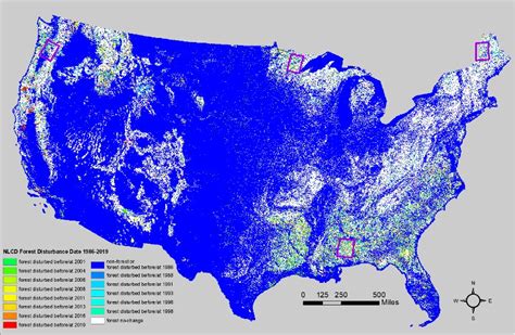 A new tool for deforestation detection