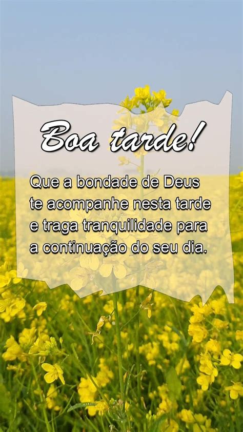 Frase de boa tarde Vídeo Frases de boa tarde Boa tarde Mensagem