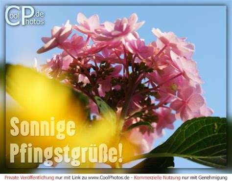 Coolphotos De Pfingsten Sonnige Pfingstgrüße