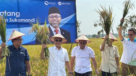 Zulkifli Hasan Jadi Menko Pangan Perdana Blusukan Ke Sawah Bisnis