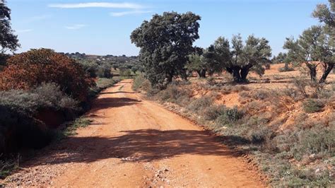 La Comunidad De Madrid Mejora Casi Kil Metros De Caminos Rurales En