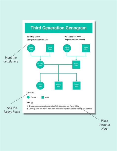 Third Generation Genogram Tree Template In Indesign Word Google Docs