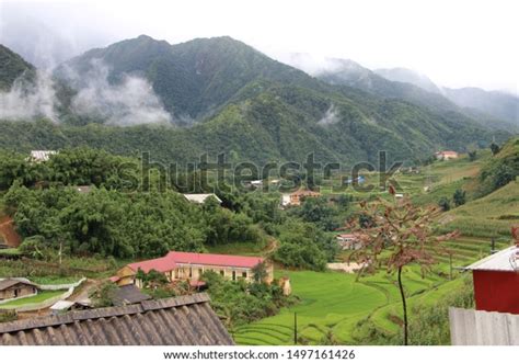 Sapa Rice Fields Vietnam Stock Photo 1497161426 | Shutterstock