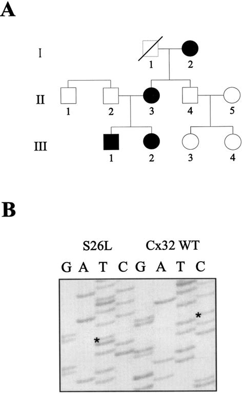 Changes In Permeability Caused By Connexin Mutations Underlie X