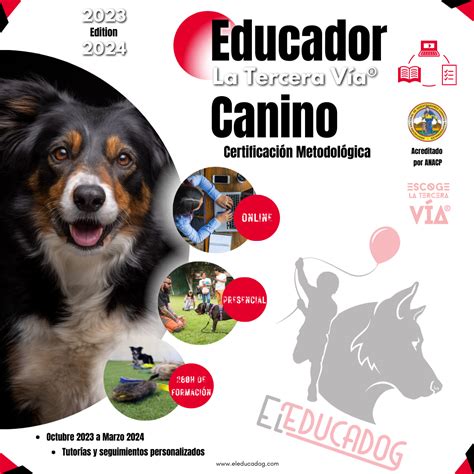 Curso Educador Canino La Tercera V A Edici N Internacional