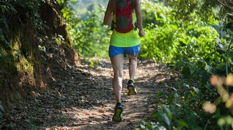 Corredor Del Rastro De La Mujer Que Corre En Bosque Soleado Foto De