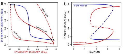 Figures And Data In Reciprocal Regulation Of Arpp By Pka And Mast