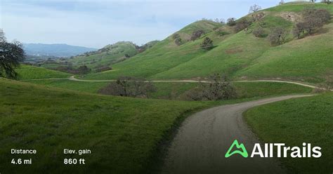 Hanna Grove Trail Costanoan Trail And Briones Trail Loop 132 Reviews