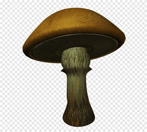 Mushrooms 1 Brown Mushroom Png PNGEgg