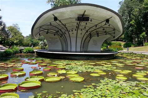 Botanical Garden Pondicherry Botanical Garden Photos And Timings