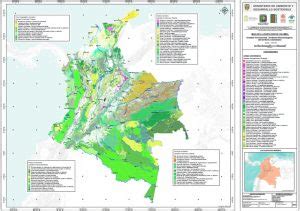 Colombia ya cuenta con su primer mapa de vegetación natural BC Noticias